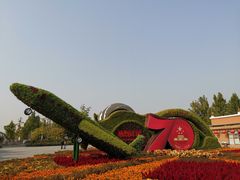 -大兴滨河森林公园