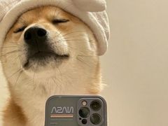 -瓦匠工社·马赛克·积木拼图·亲子手工DIY