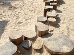 -深圳湾公园(南山区)