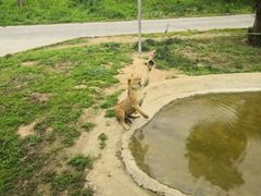 -西安秦岭野生动物园