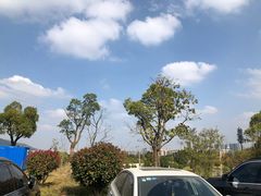 -呼吸森林·生态农庄农家乐私房菜