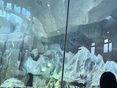 -帝企鹅自助餐厅•儿童岛•真企鹅(长隆企鹅酒店)