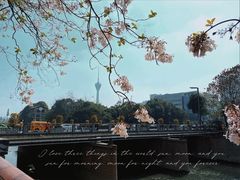 -成都市活水公园