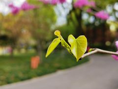 -璐坊粽王(复兴中路店)