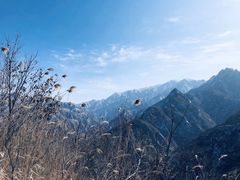 -秦岭风景区