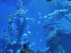 -哈尔滨波塞冬海底世界