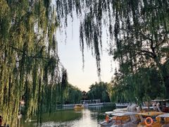 -丰台花园