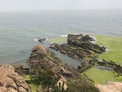 -颐和海鲜饺子