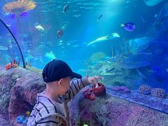 -沈阳海洋探索中心