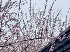 -三里河公园
