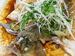 鲈鱼（）-东鸽皇(奥园·中环广场店)