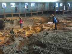 -自贡恐龙博物馆