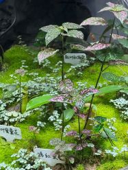 -Zoolung Zoolung动物主题公园(海信广场店)