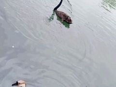 -武汉动物园