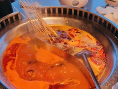 -辣伍鲜毛肚老火锅(元一店)