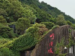 -梧桐山风景名胜区