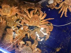 -蟹道乐(道顿堀本店)