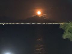 -野狸岛