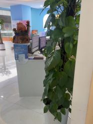 -普睿媞产后直营连锁(天鹅湖万达店)