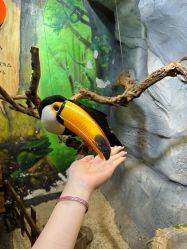 -Zoolung Zoolung动物主题公园(海信广场店)