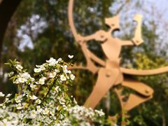 -杭州城北体育公园