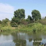水八仙生态文化园--苏州休闲卡景点打卡攻略