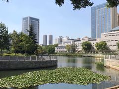 -后襄河公园
