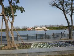 -上海长兴岛郊野公园