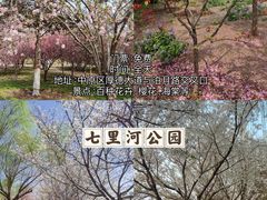 -郑州中国绿化博览园