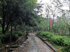 -雨花胜境
