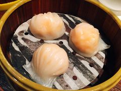 -南拳十三姨·潮汕砂锅粥(世纪金源店)