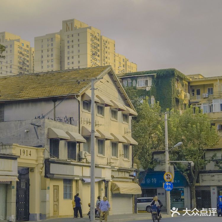 你为什么喜欢上海