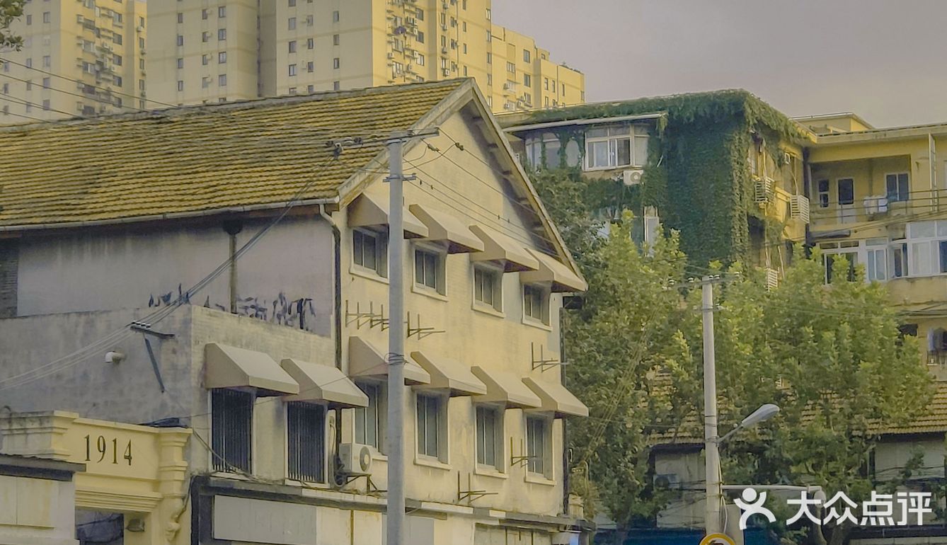 你为什么喜欢上海