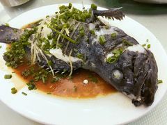 青斑-新享乐海鲜(翠华路店)