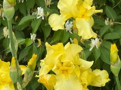 -国家植物园南园