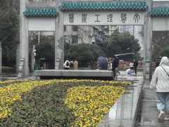 -武汉大学-樱园