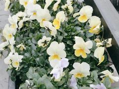 -小城故事·地道宁波味(月湖盛园店)