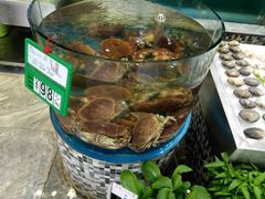 -海岛渔村大酒店(云霄路店)