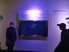 -白鹤梁水下博物馆