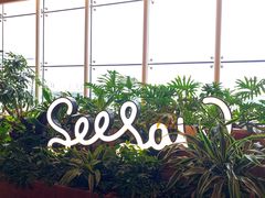 -Seesaw Coffee(朝阳大悦城店)