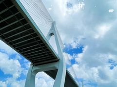 -芒洲湿地公园