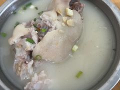 -胖娃滋补蹄花