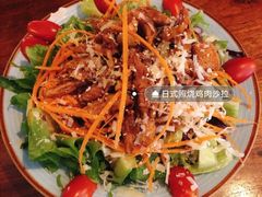 日式烧烤鸡肉沙拉-萨尔瓦多Salvador's