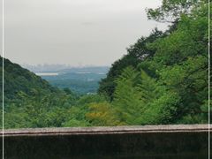 -韬光茶庵