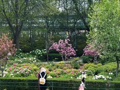 -洛阳市隋唐城遗址植物园