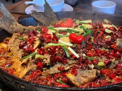 -老板恋上鱼(恒隆广场店)