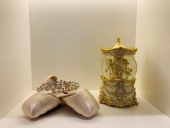 -芭蕾仙子 FairyBallet 少儿芭蕾舞蹈中心(丽都旗舰店)