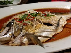 清蒸翘嘴白鱼-丹江渔村(首都机场店)
