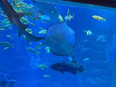 -太平洋海底世界