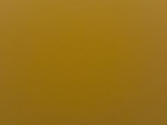 -东道煮牛肉火锅(重庆路店)